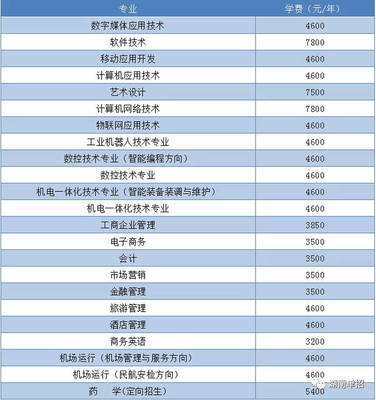 湖南省單招考試報(bào)考計(jì)算機(jī)、軟件類專業(yè)院校與重點(diǎn)推薦—聚焦技術(shù)開發(fā)與銷售